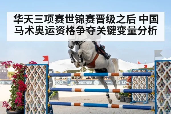 show jumping horse rider